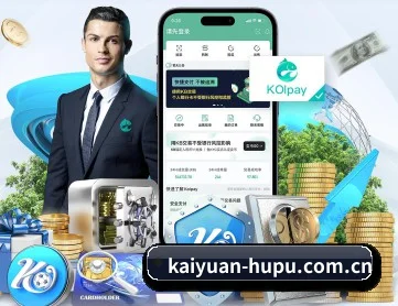 用冷酷数据对抗流量喧嚣 - Kaiyuan